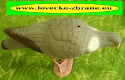 Obrázek pro Balabán holub hřivnáč zobající-vábnička